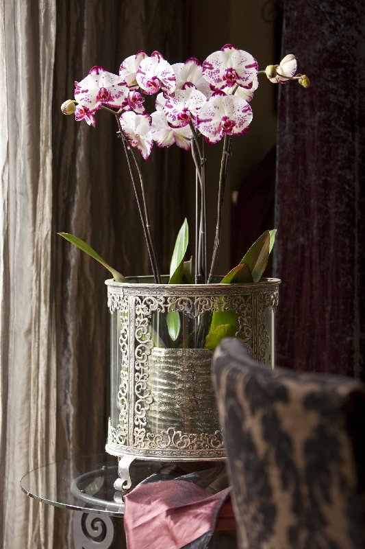 velvet SF-PIKO-0112-023